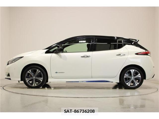 Nissan LEAF 2017-10 7902824-9