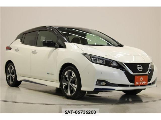 Nissan LEAF 2017-10 7902824-6