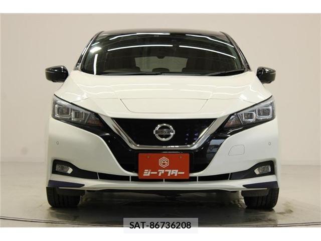 Nissan LEAF 2017-10 7902824-7