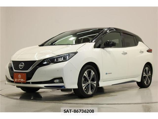 Nissan LEAF 2017-10 7902824-8