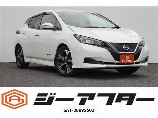 Nissan LEAF 2021-02 7902822-0