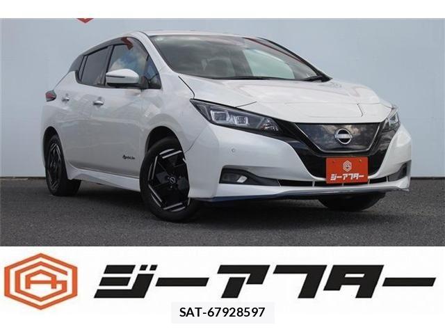 Nissan LEAF 2022-01 7962333-0