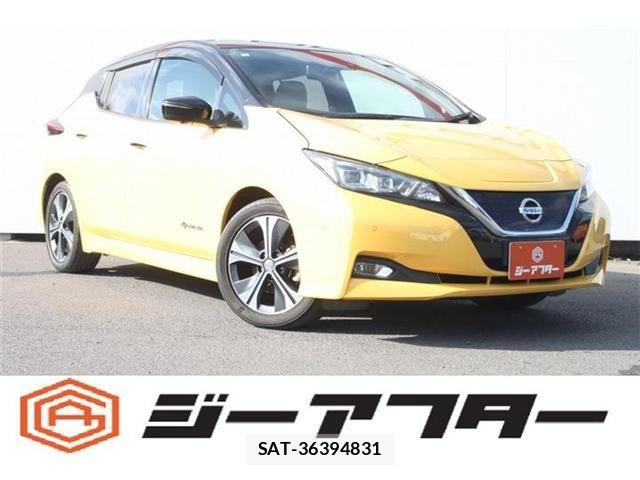 Nissan LEAF 2018-06 7962337-0