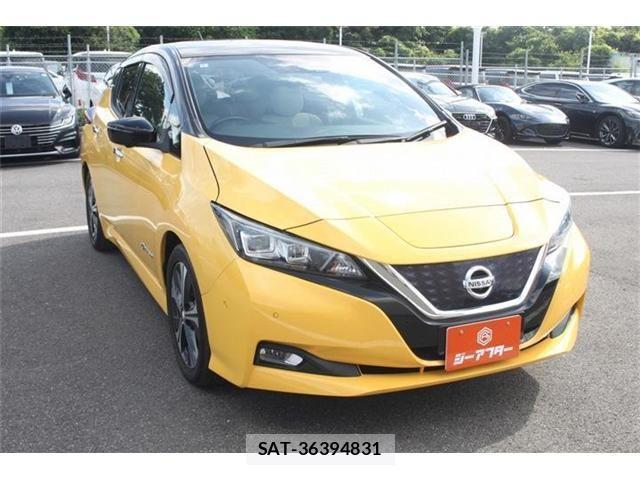 Nissan LEAF 2018-06 7962337-9