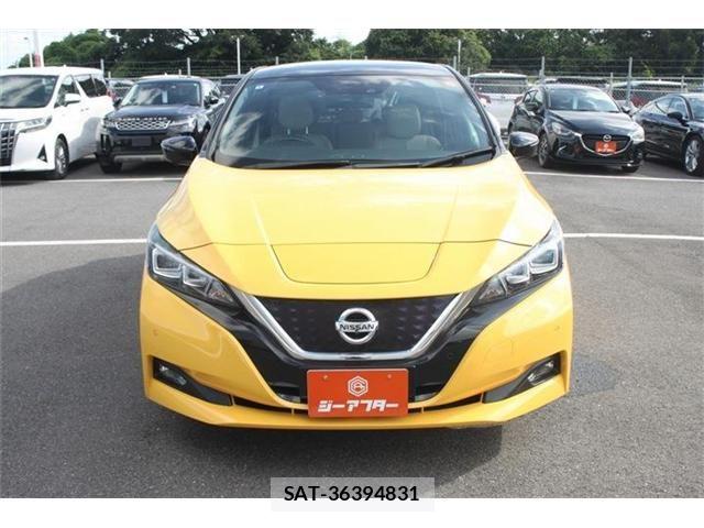Nissan LEAF 2018-06 7962337-8