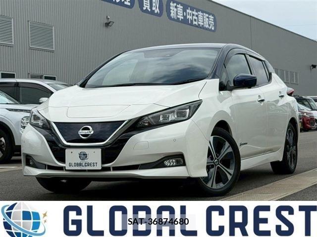 Nissan LEAF 2021-02 7962335-0