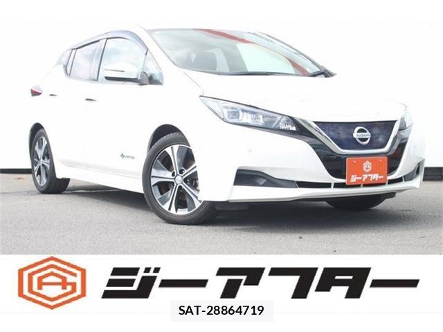 Nissan LEAF 2019-01 7979703-0