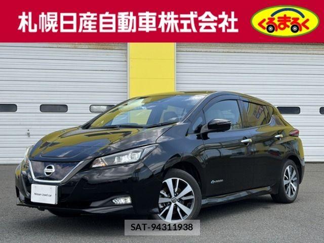 Nissan LEAF 2020-11 7979701-0