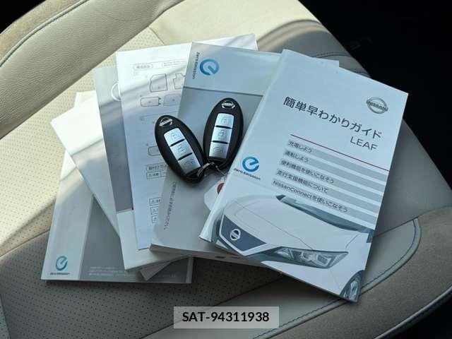 Nissan LEAF 2020-11 7979701-6