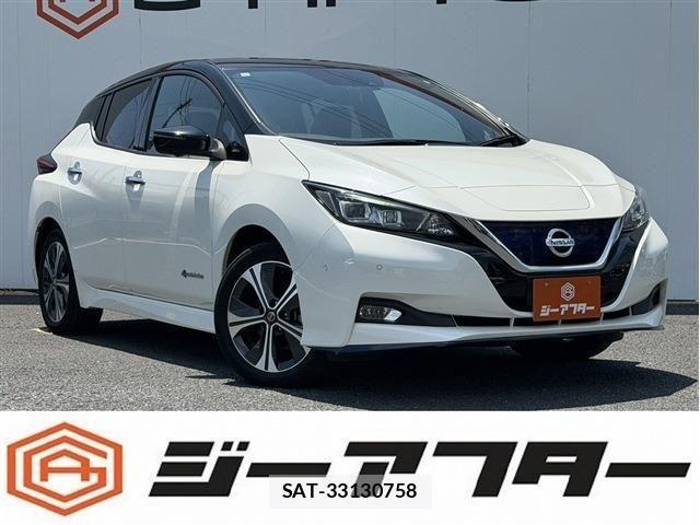 Nissan LEAF 2019-06 7979699-0