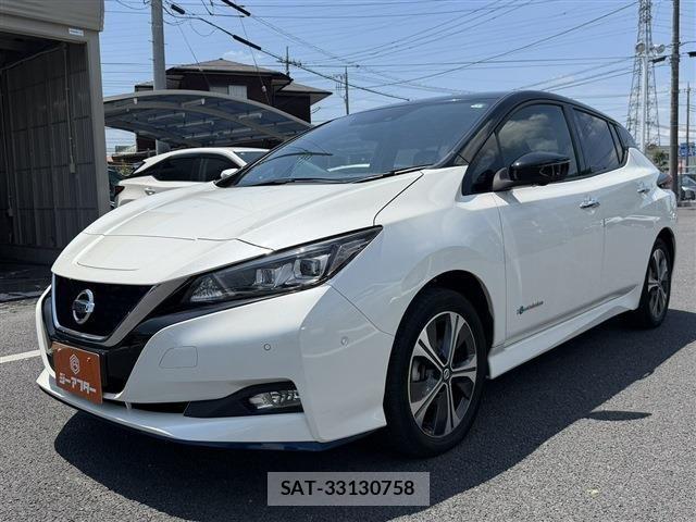 Nissan LEAF 2019-06 7979699-9