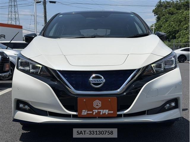 Nissan LEAF 2019-06 7979699-2