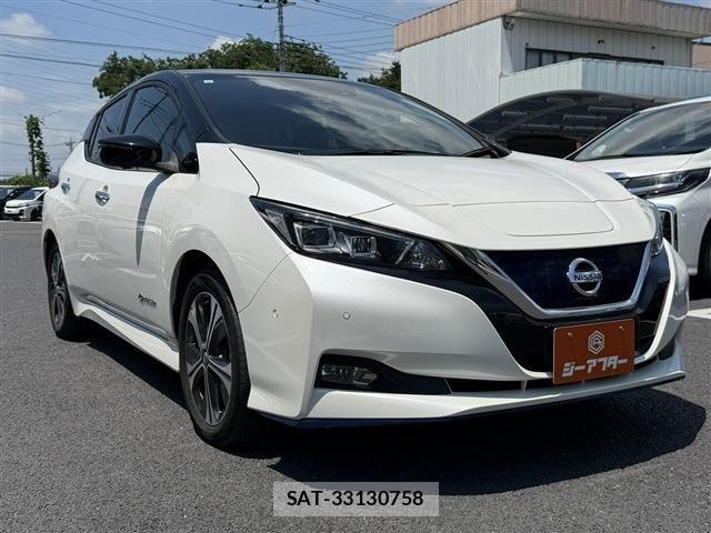 Nissan LEAF 2019-06 7979699-3