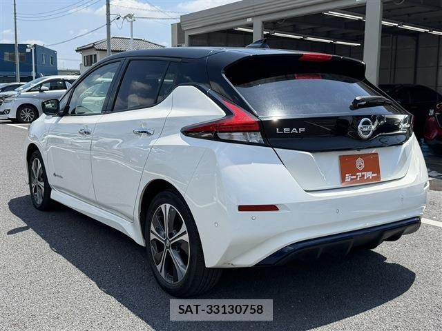 Nissan LEAF 2019-06 7979699-7