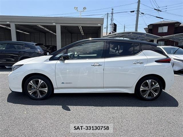 Nissan LEAF 2019-06 7979699-8