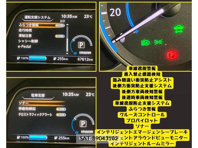 Nissan LEAF 2022-07 8036333-5