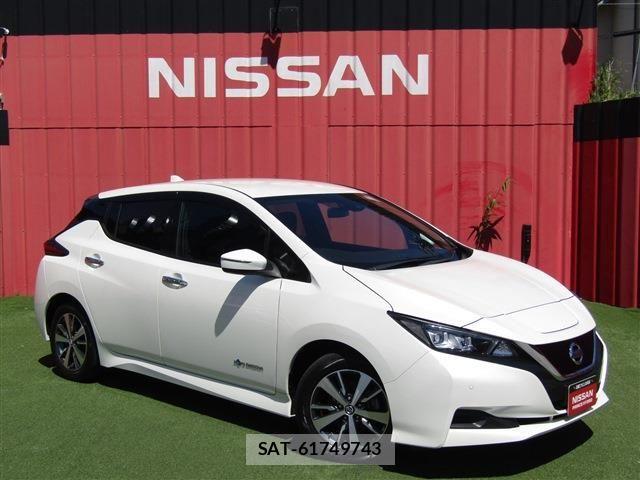 Nissan LEAF 2021-02 8036334-0