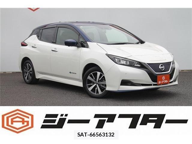 Nissan LEAF 2021-04 8036321-0