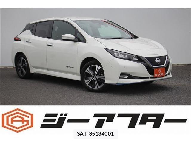 Nissan LEAF 2021-06 8036332-0