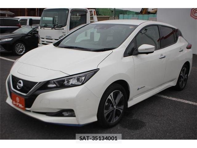 Nissan LEAF 2021-06 8036332-9