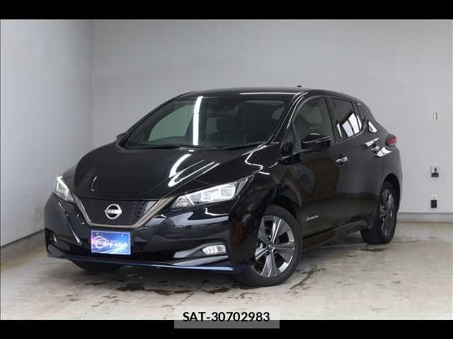Nissan LEAF 2021-06 8036323-0