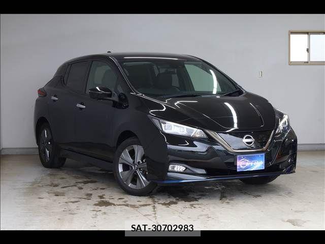 Nissan LEAF 2021-06 8036323-1