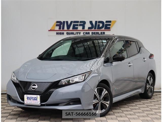 Nissan LEAF 2022-03 8036318-0