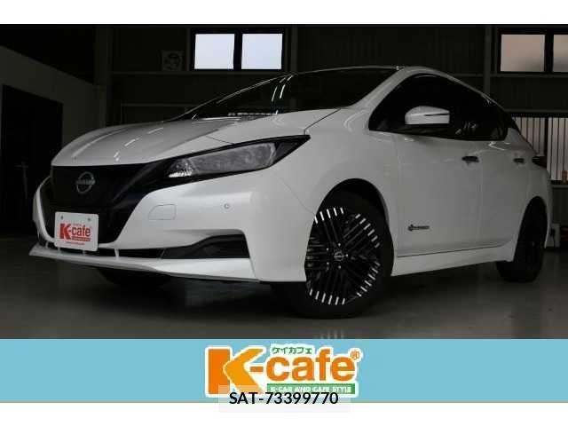 Nissan LEAF 2023-06 8036317-0