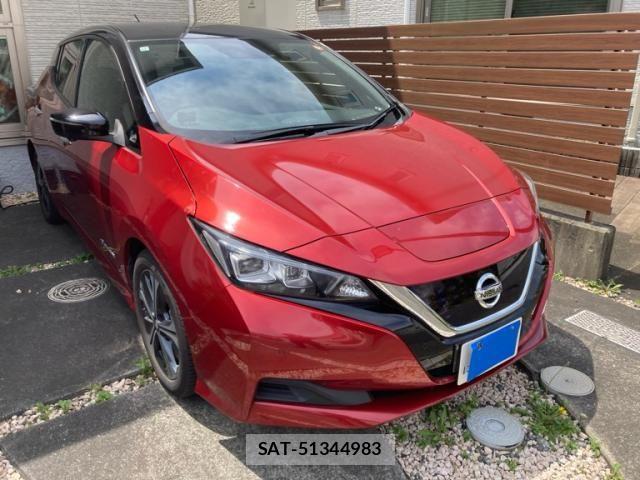 Nissan LEAF 2019-12 8036340-1