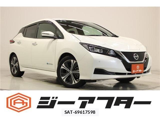 Nissan LEAF 2018-10 8036336-0