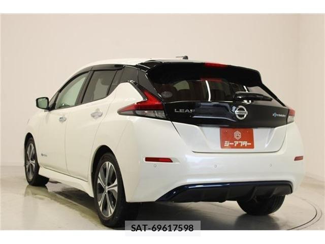 Nissan LEAF 2018-10 8036336-9