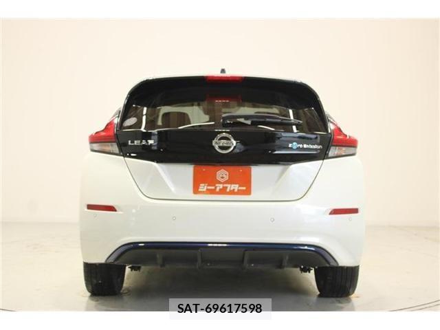 Nissan LEAF 2018-10 8036336-10