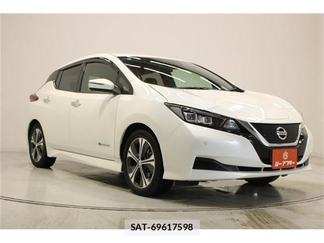 Nissan LEAF 2018-10 8036336-5