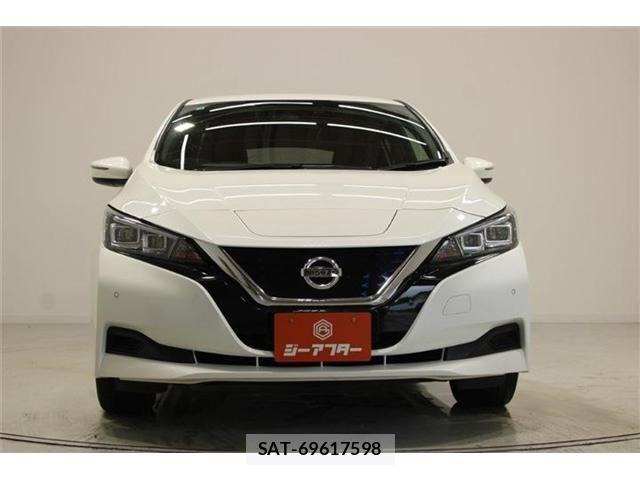 Nissan LEAF 2018-10 8036336-6