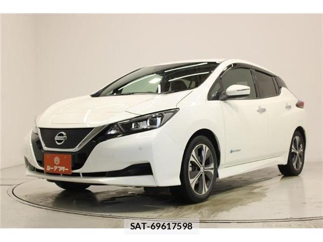 Nissan LEAF 2018-10 8036336-7