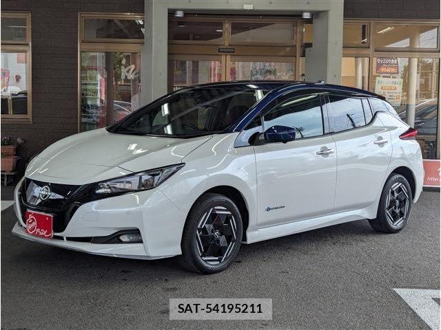 Nissan LEAF 2022-06 8036316-0