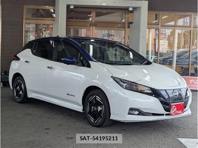 Nissan LEAF 2022-06 8036316-1