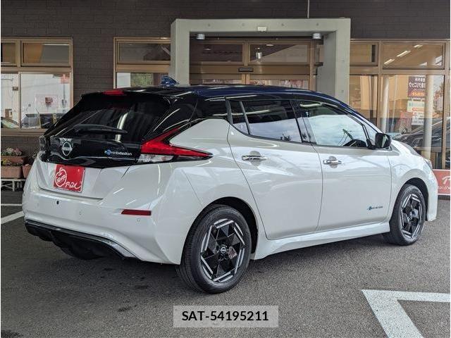 Nissan LEAF 2022-06 8036316-2