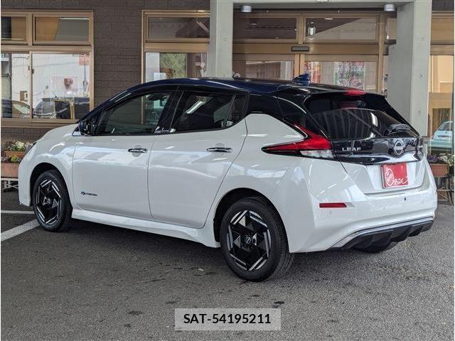 Nissan LEAF 2022-06 8036316-3