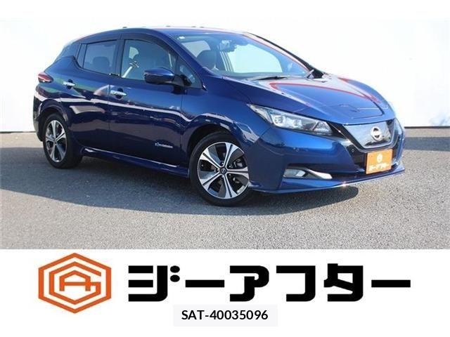 Nissan LEAF 2021-11 8100038-0
