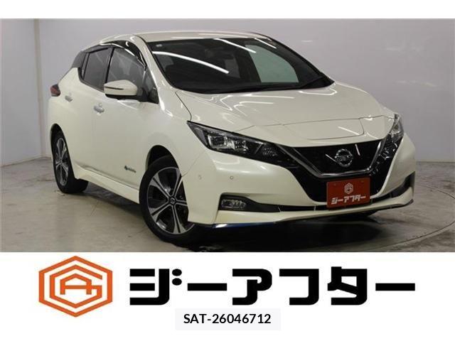 Nissan LEAF 2019-05 8100044-0
