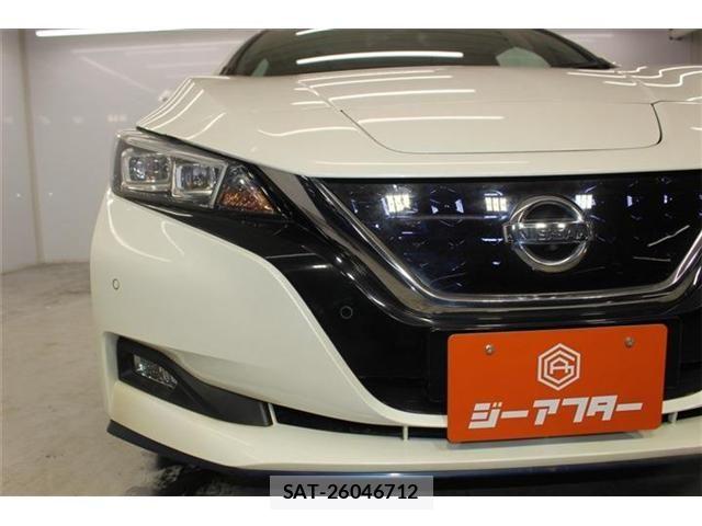 Nissan LEAF 2019-05 8100044-10
