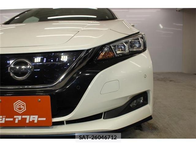Nissan LEAF 2019-05 8100044-13