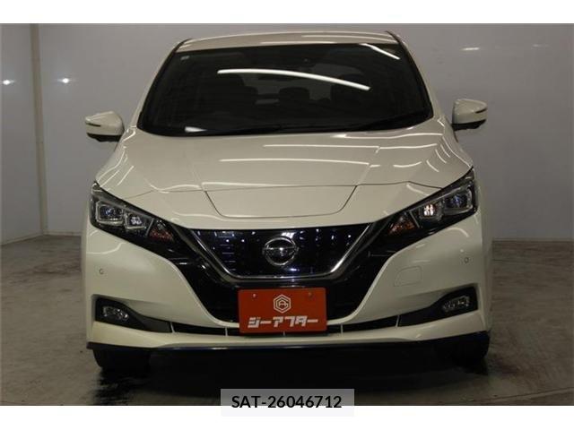 Nissan LEAF 2019-05 8100044-1