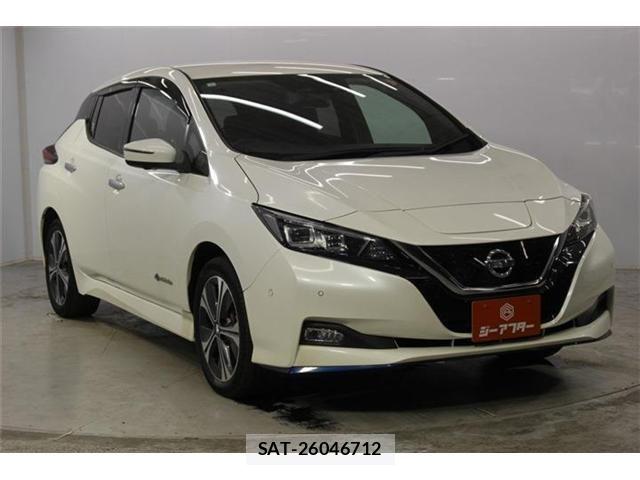 Nissan LEAF 2019-05 8100044-2