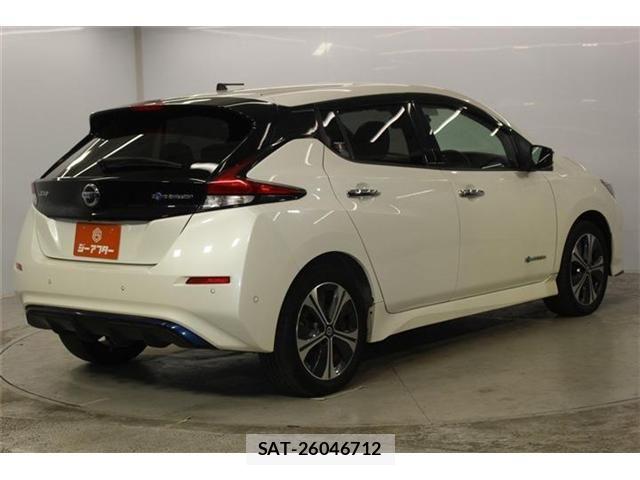 Nissan LEAF 2019-05 8100044-4