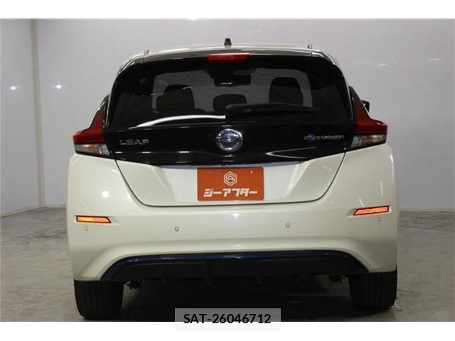 Nissan LEAF 2019-05 8100044-5
