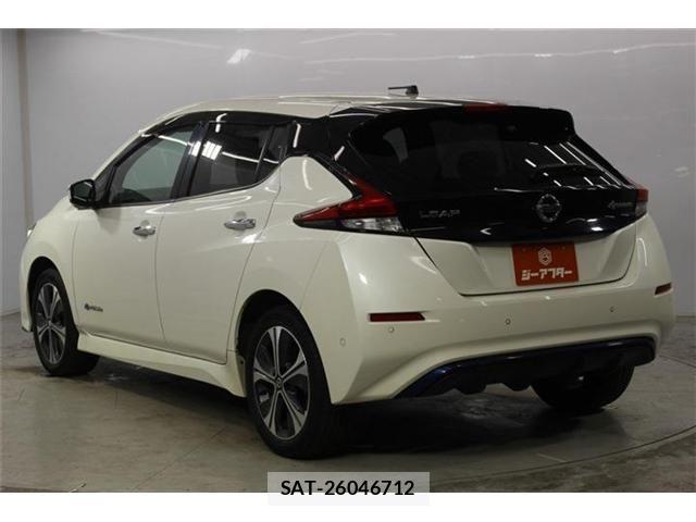 Nissan LEAF 2019-05 8100044-6