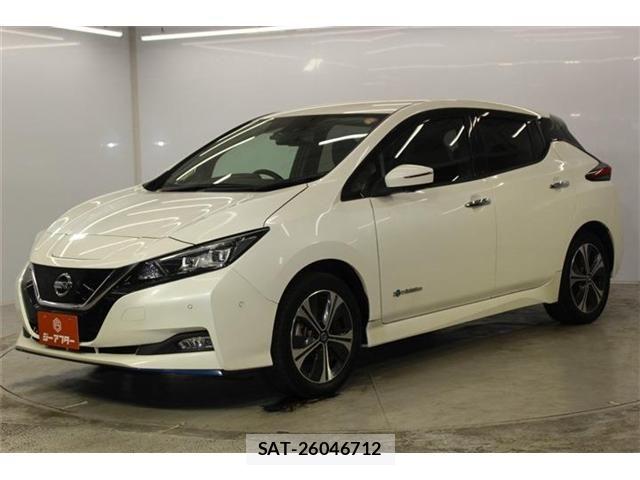Nissan LEAF 2019-05 8100044-8