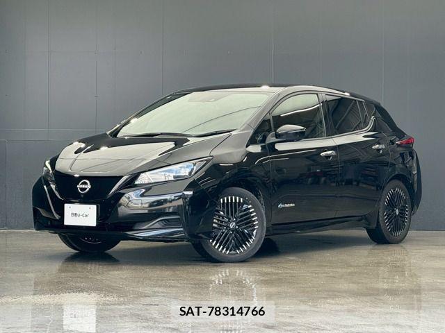 Nissan LEAF 2024-11 8100033-0
